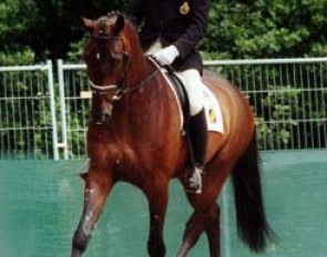 Stefan van Ingelgem and Doncaster at the 2000 World Young Horse Championships :: Photo © Phelpsphotos.com