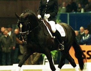 Nicolet van Lierop on Osmium in the stallion competition at the 2001 KWPN stallion licensing :: Photo © Dirk Caremans