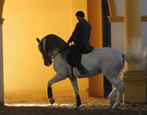 Ignacio Rambla schooling an Andalusian at the Real Escuela in Jerez de la Frontera :: Photo © Dirk Caremans