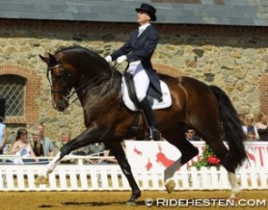 Brigitte Byrialsen and Come Back II at the 2001 CDI Vilhelmsborg :: Photo © Ridehesten
