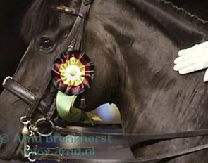 Cherie in the ribbons at the 2002 CDIO Aachen :: Photo © Arnd Bronkhorst