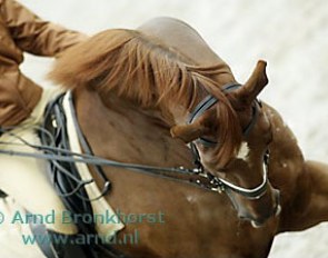 Gestion Idool :: Photo © Arnd Bronkhorst