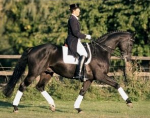 Ellen Bontje on Rubioso N