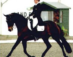 Heike Holstein on Burgfraulein at the 2002 CDI-W Lipica