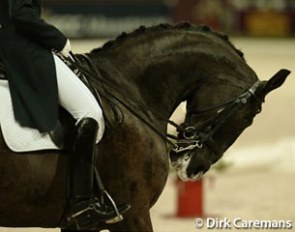 Rollkur :: Photo © Dirk Caremans