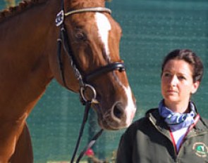 Anna Merveldt Steffens and Fosbury at the vet inspection at the 2002 World Equestrian Games :: Photo © Mary Phelps