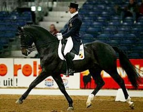 Stefan van Ingelgem and Saros van het Gestelhof Win Big at the 2002 Zwolle International Stallion Show :: Photo © Dirk Caremans