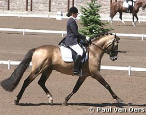 Marrigje van Baalen and Power and Paint at the 2003 European Pony Championships :: Photo © Paul van Oers