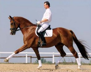 Ronald Lüders on Royal Olymp