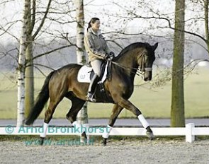 Coby van Baalen on Pasternak :: Photo © Arnd Bronkhorst