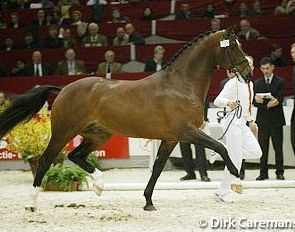 Paganini at the 2003 KWPN Stallion Licensing :: Photo © Dirk Caremans