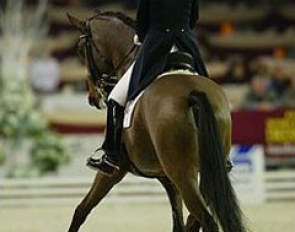 Anne van Olst on Dexter (by Traumdeuter) :: Photo © Dirk Caremans