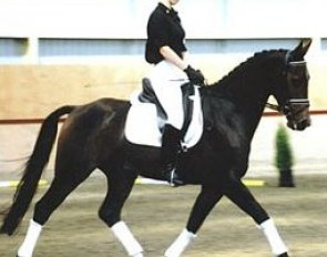 Stephanie Tovey on Dominik T