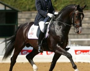 Marijke Folmer on Paddox
