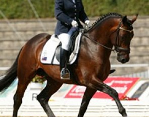 Australian Kerry Mack on Mayfield Pzazz (by Jazz) at the 2003 World Young Dressage Horse Championships in Verden :: Photo © Dirk Caremans