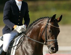 Kathrin Meyer zu Strohen on Poetin at the 2003 World Young Horse Championships :: Photo © Dirk Caremans