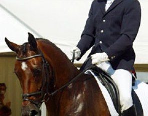 American David Wightman on the Dutch warmblood Partous