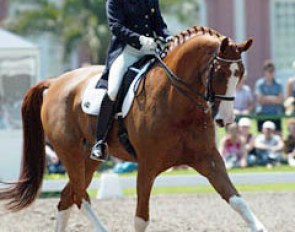 Heike Holstein on Weltadel at the 2003 CDI Wiesbaden :: Photo © Mary Phelps