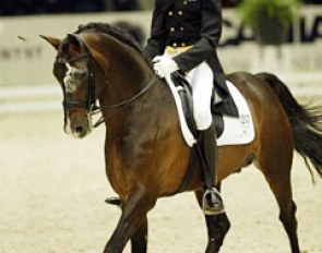 Vincent van Gasselt on Inspekteur at the 2003 Zwolle International Stallion Show :: Photo © Dirk Caremans