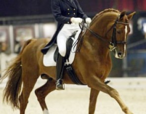 Ebba von Essen on Rambo at the 2003 Zwolle International Stallion Show :: Photo © Dirk Caremans