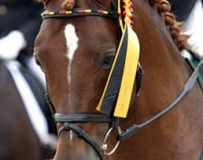 European Pony Champion Dressman
