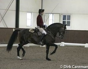 The Lusitano at the 2004 Global Dressage Forum :: Photo © Dirk Caremans