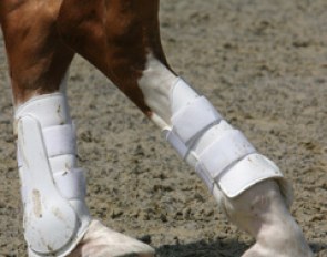 Elmegardens Fight's hind legs in the piaffe