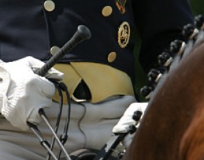 Goldenes Reitabzeichen