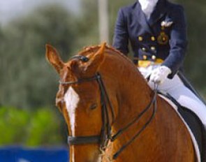 Julie de Deken and Widor at the 2004 Sunshine Tour CDI