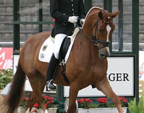 Arnd Erben and Fazzino win bronze at the 2004 World Young Horse Championships :: Photo © Astrid Appels