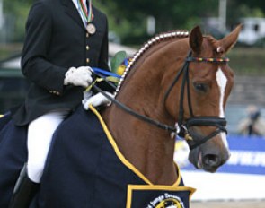 Arnd Erben and Fazzino win Bronze at the 2004 World Young Horse Championships :: Photo © Astrid Appels