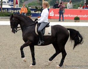 Anky van Grunsven on Salinero