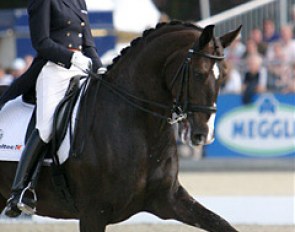 Anky van Grunsven on Salinero :: Photo © Astrid Appels