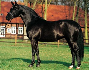 Hohenstein (by Caprimond x Matador x Grimsel)