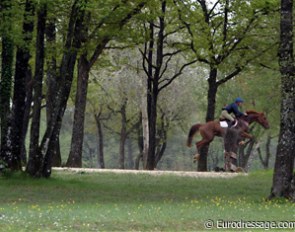 Eventing practice at the ENE in Saumur :: Photo © Astrid Appels