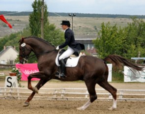 Stepanka Koblizkova on Blacoro, 2nd place in the Inter I Kur