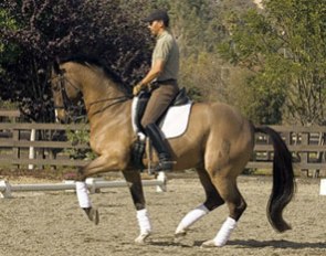 Steffen Peters on Lombardi