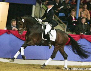 Serano Gold at the 2005 Althengst Parade in Vechta :: Photo © Astrid Appels