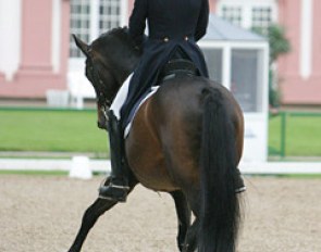 Local heroine Anja Plonzke of Gestut Tannenhof on the Trakehner Solero RBS (by Hyllos)