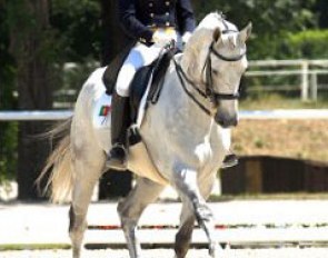 Maria Caetano and White Cedar at the 2006 European Young Riders Championships