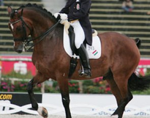 Robert Acs and Lagerfeld at the 2006 World Equestrian Games in Aachen :: Photo © Astrid Appels