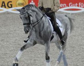 Andreas Helgstrand training Matine in the rain