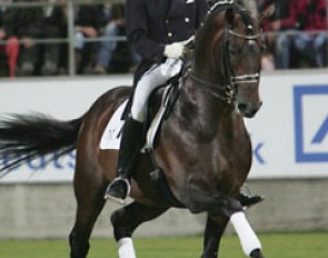 Oliver Oelrich on the Hanoverian stallion Laudabilis (by Lauries Crusador xx x Warkant)