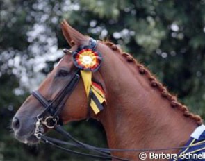 Warum Nicht with the highly coveted Aachen ribbon
