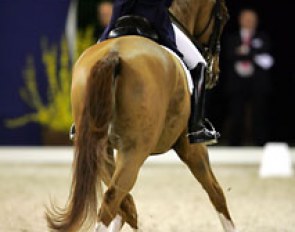 Laura Bechtolsheilmer and Mistral Hojris (by Michellino). Winners of the CDI Grand Prix