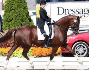 Micaela Mabragana on Granada at the 2007 Dressage at Devon CDI :: Photo © Sue Stickle