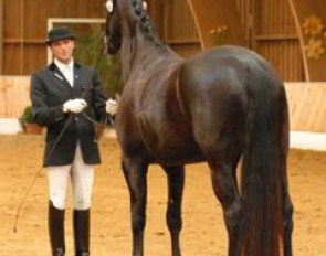 Heiner Schiergen presents the lovely Floydtina (by Feiner Ludwig) in a class for four-year-olds, which she won