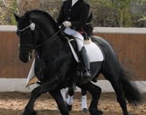Jessica Süss and her eight-year-old Friesian Zorro entered their first advanced test here as well. No ribbon for them yet, but an encouraging protocol that did contain several eights (for the extended trot) after all