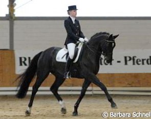 Annabel Frenzen has found a gorgeous new ride in Royal Rubin. They placed fourth.
