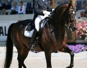 Louise Natthorst and Isidor at the 2008 CDIO Aachen :: Photo © Astrid Appels